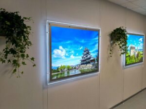 световой короб настенный